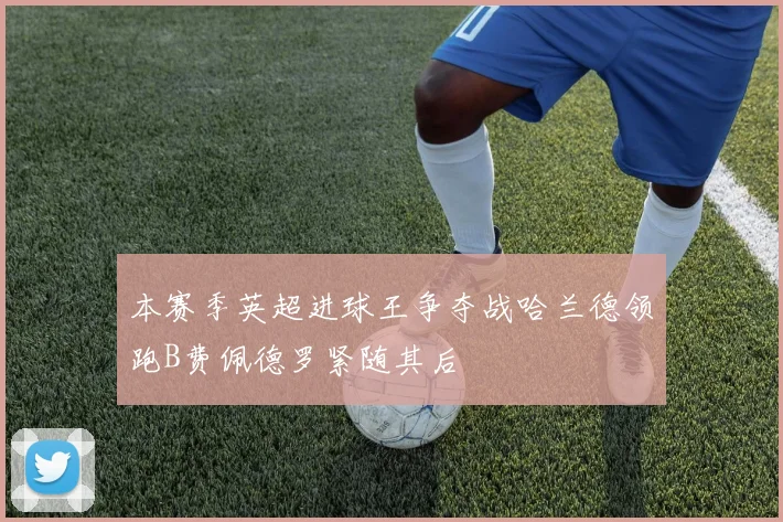 本赛季英超进球王争夺战哈兰德领跑B费佩德罗紧随其后