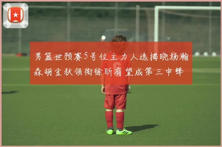 男篮世预赛5号位主力人选揭晓杨瀚森胡金秋领衔徐昕有望成第三中锋